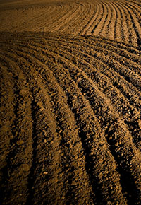 Soil